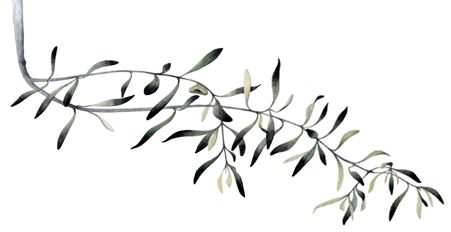 hatano hikaru illustration